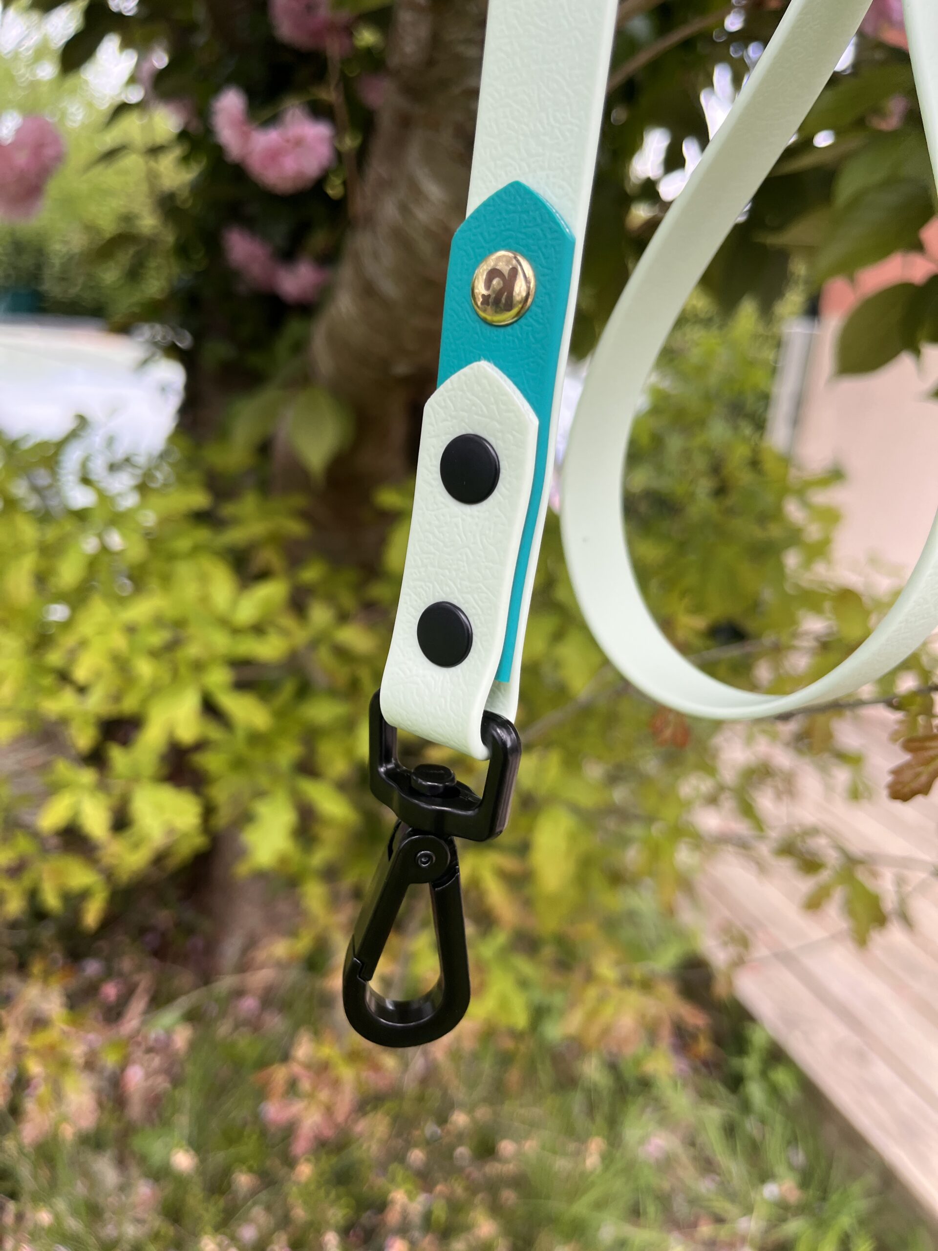 Laisse Epi'Ki Menthe verte et vert pastel – Image 3
