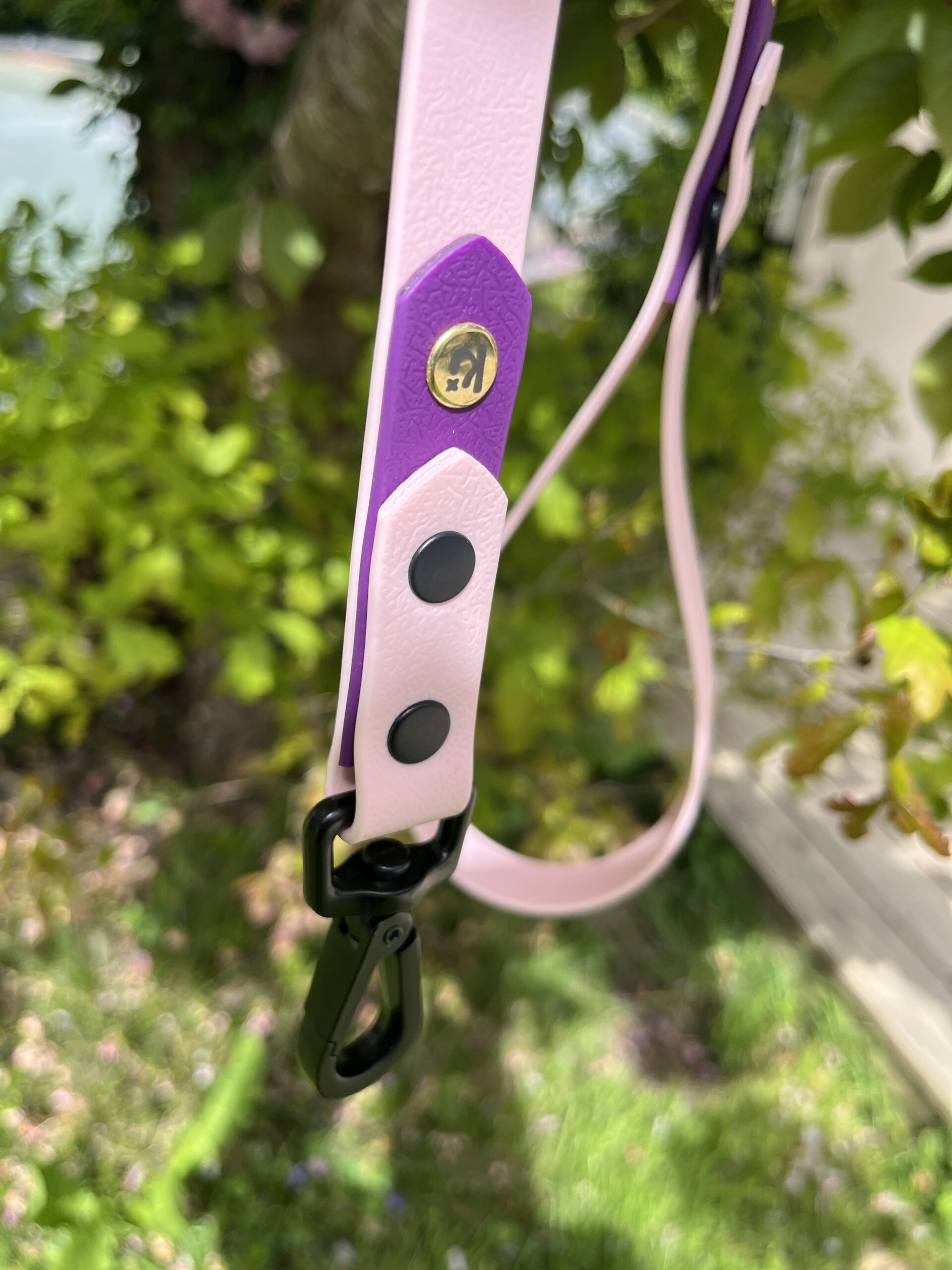 Laisse Epi'Ki Rose pastel et violet – Image 3
