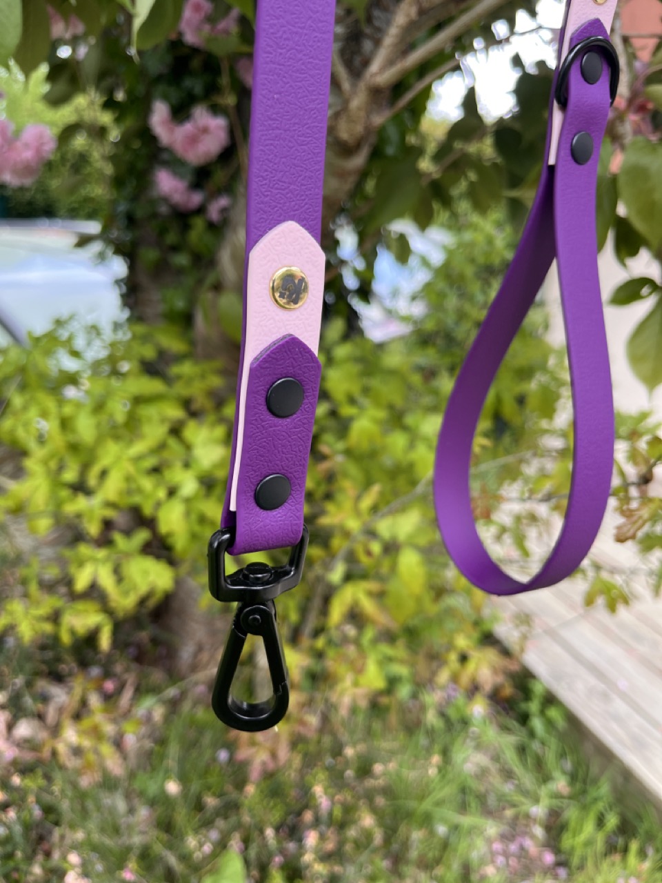 Laisse Epi'Ki Violet et rose pastel – Image 3