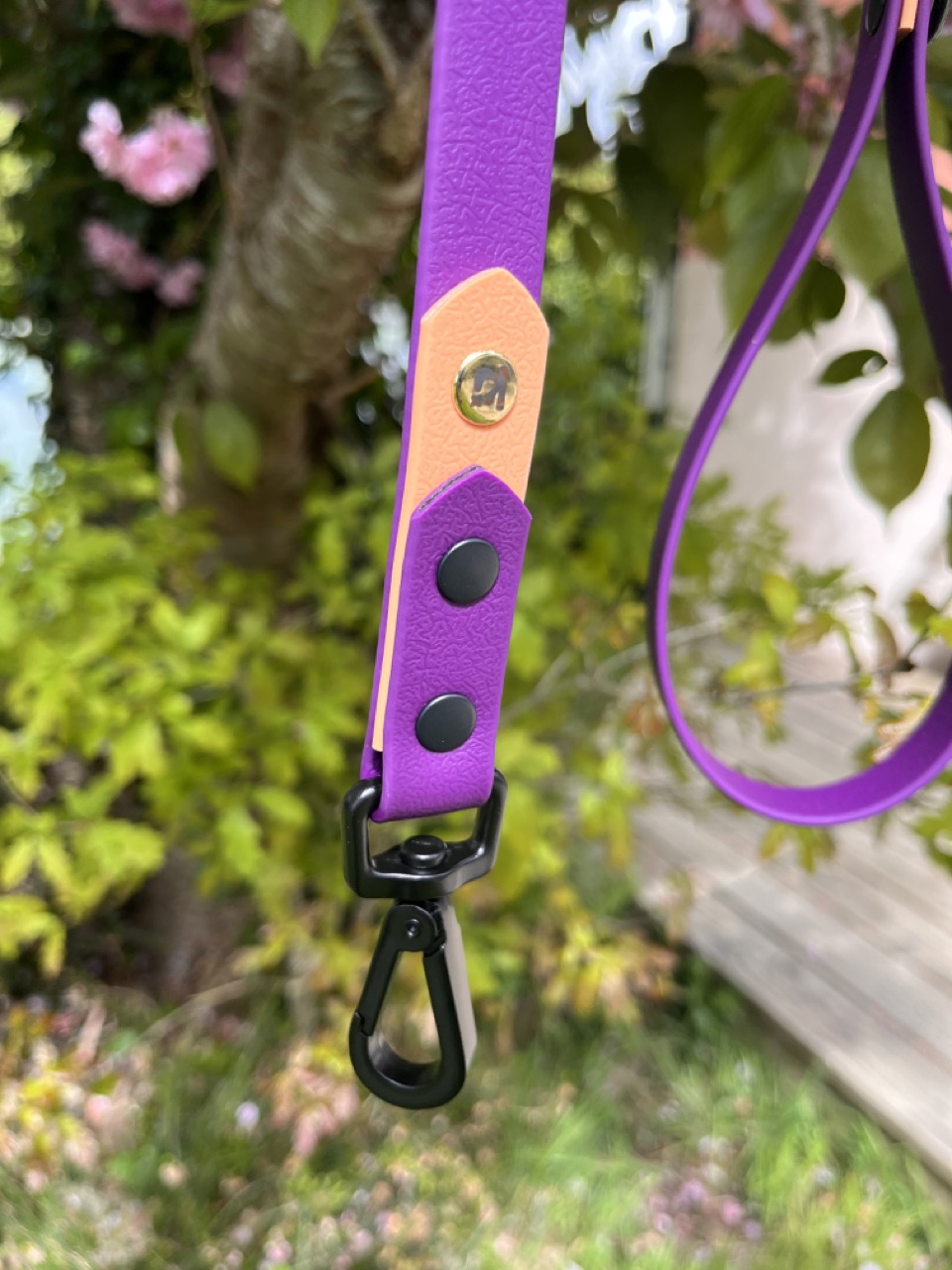 Laisse Epi'Ki Violet et beige savane – Image 3