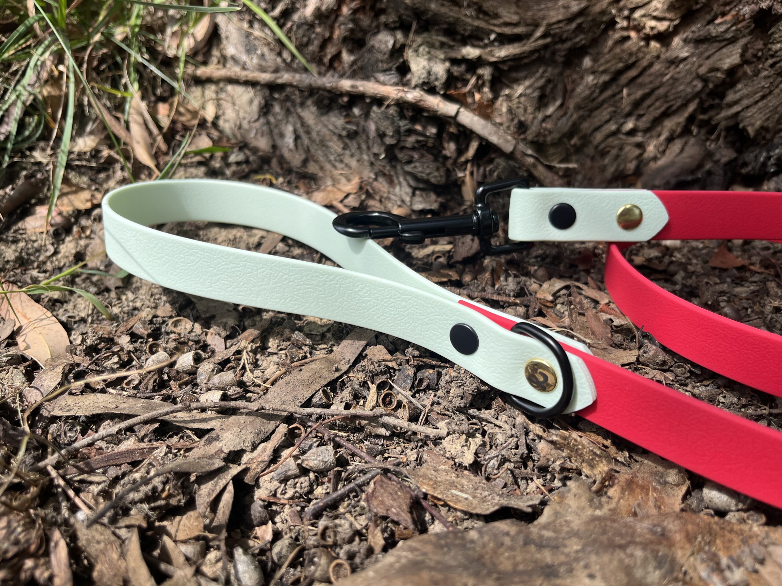 laisse biothane
