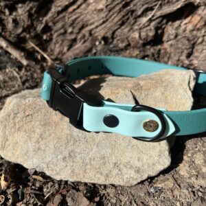 collier chien