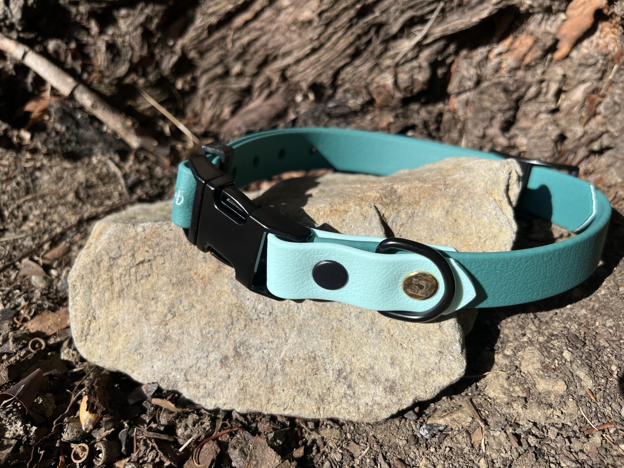 collier chien