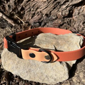 collier chien