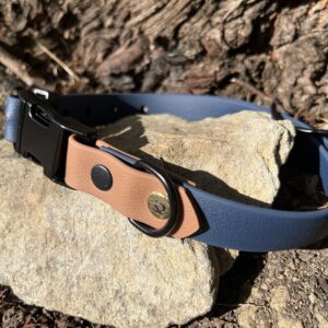 collier chien