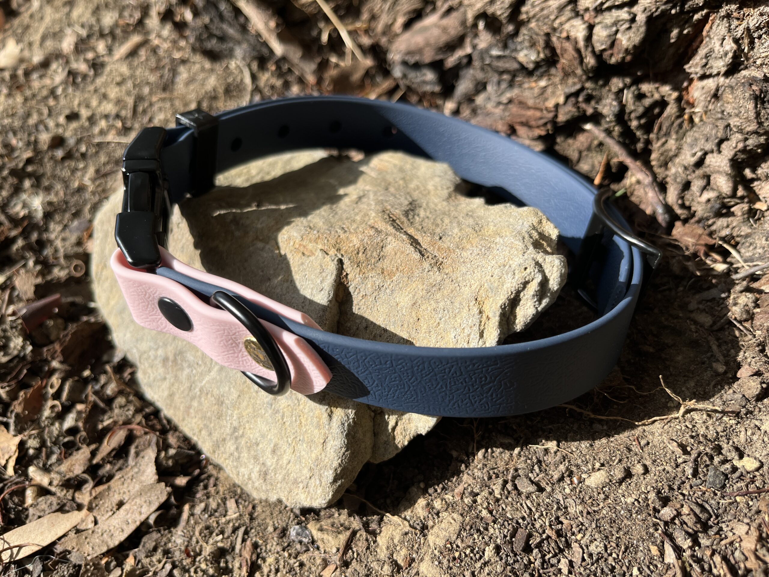 collier chien