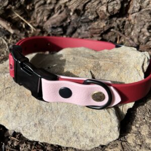collier chien