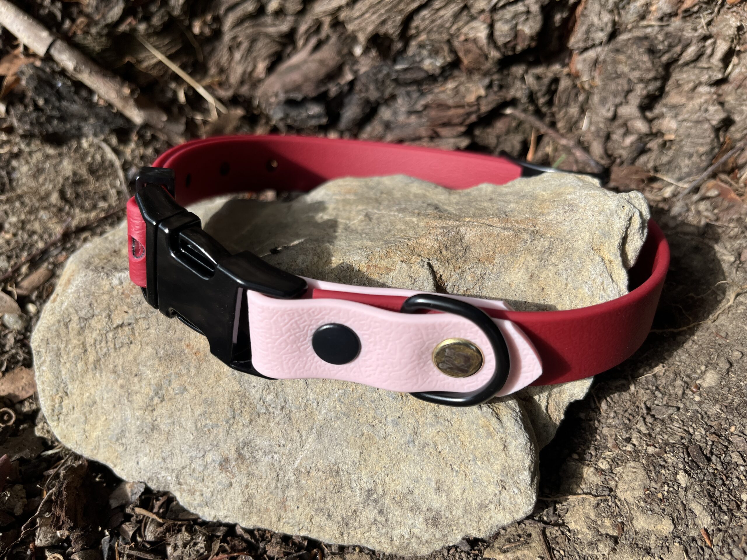 collier chien