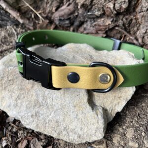 collier chien