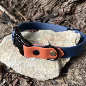 collier chien