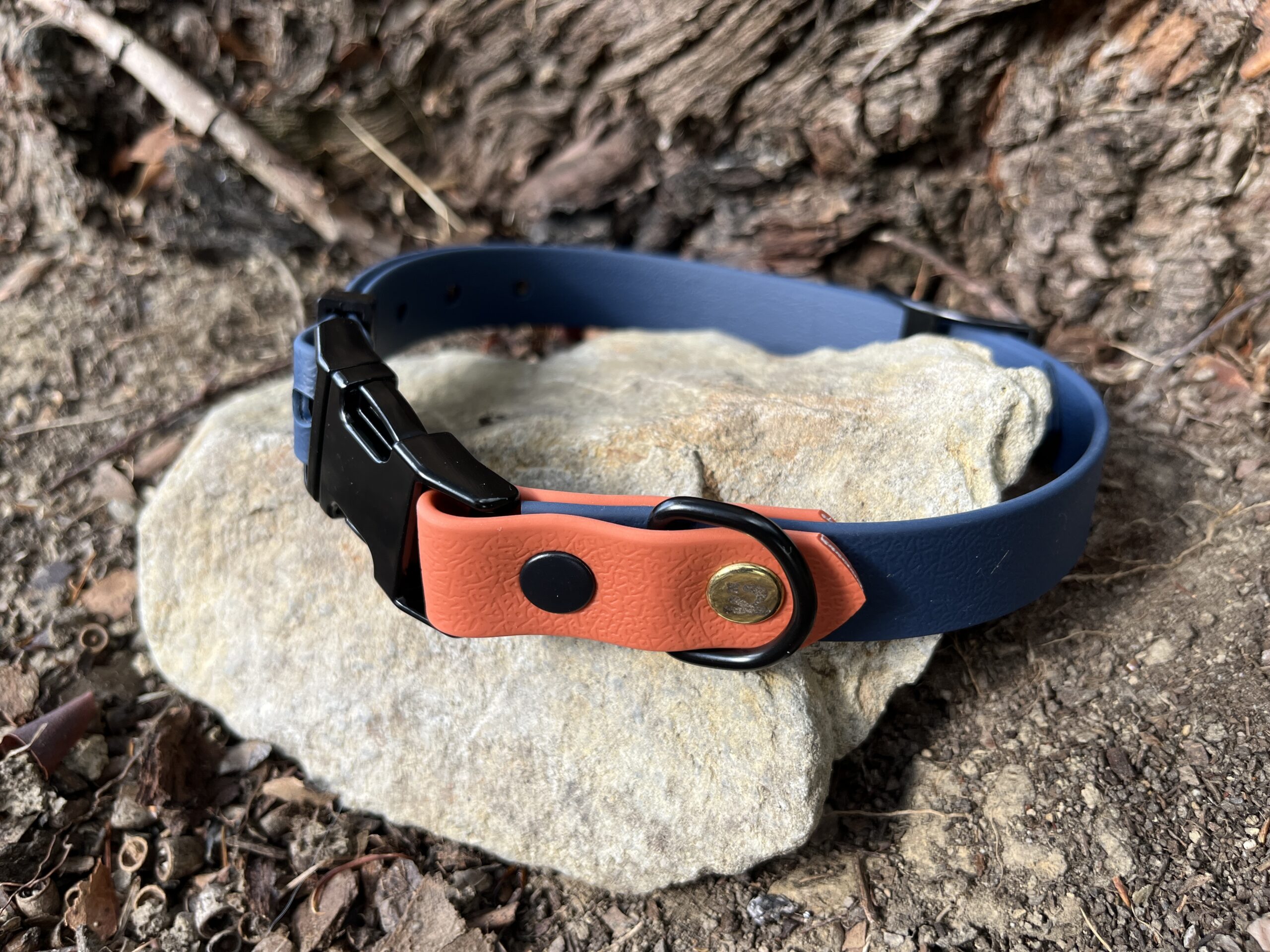 collier chien