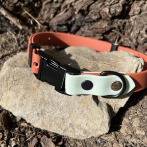 collier chien