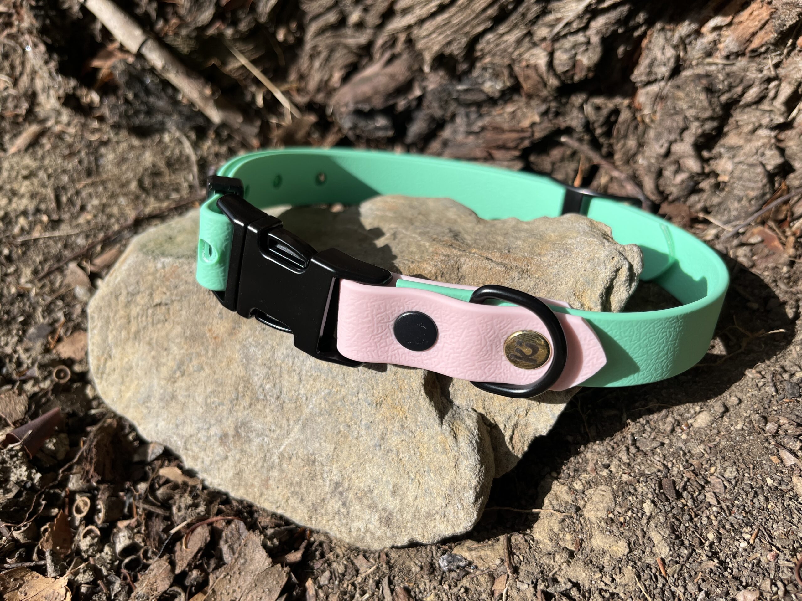 collier chien