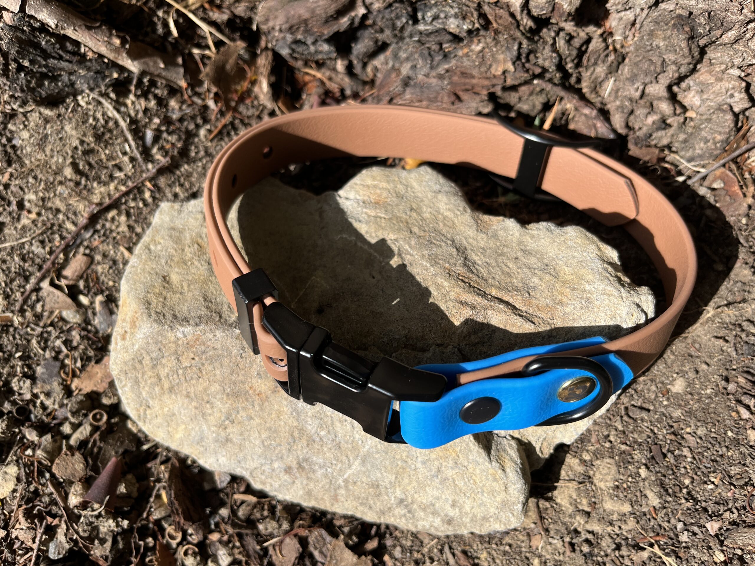 collier chien