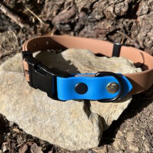 collier chien