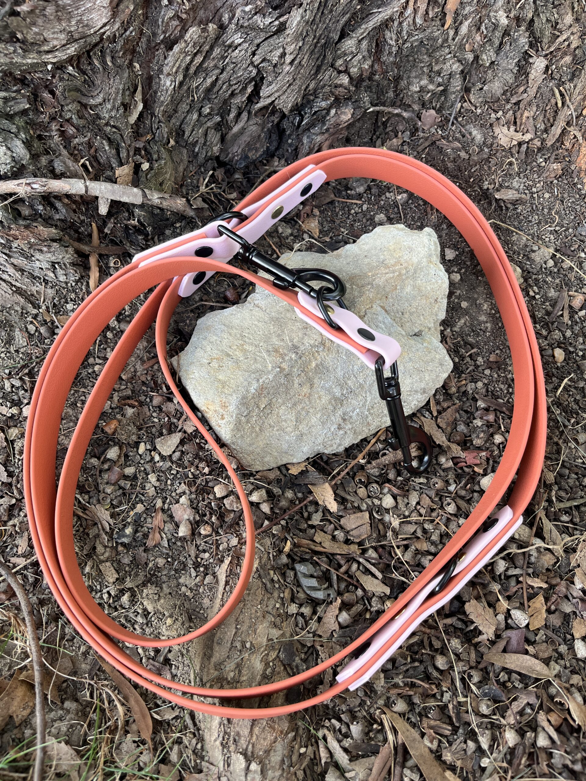 laisse 3 points