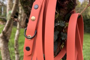 longe 3 points longe 3 points