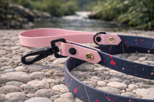 laisse peinture laisse peinture